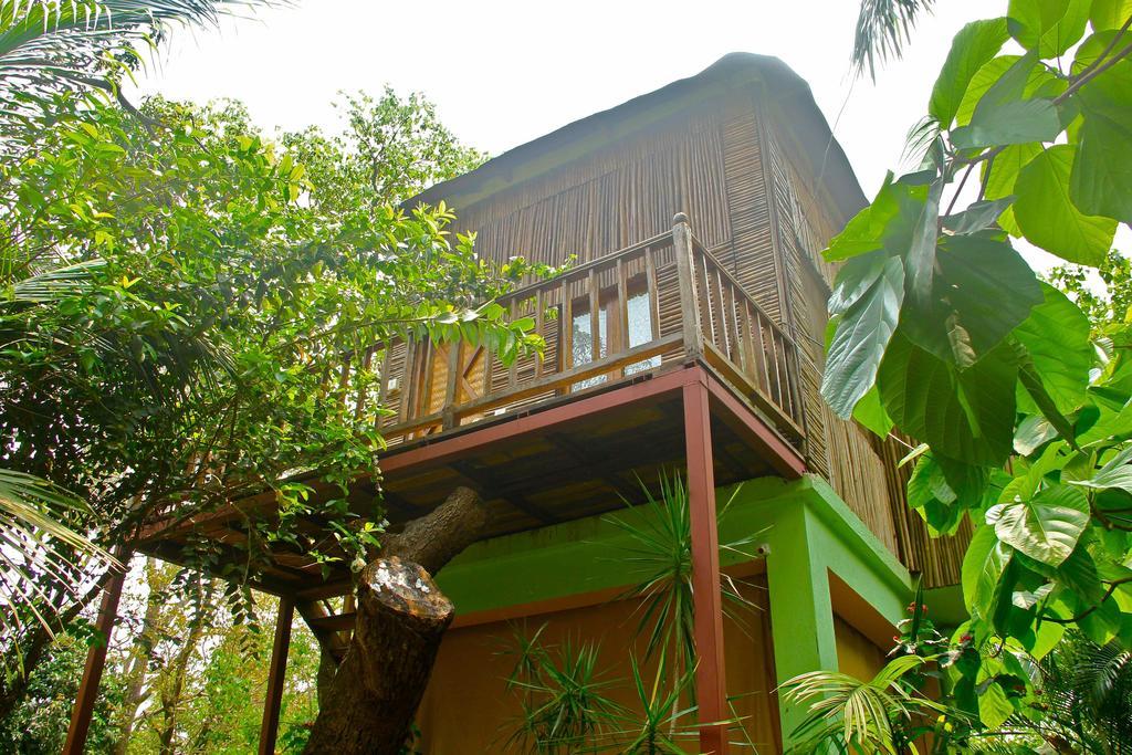 Bed and Breakfast Michele'S Garden Анжуна Номер фото